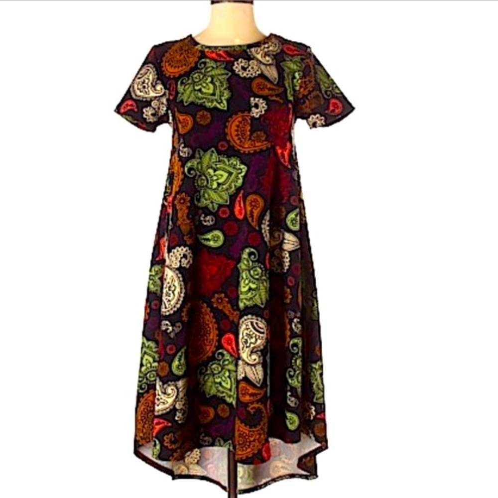 LulaRoe Paisley A-Line silhouette Dress